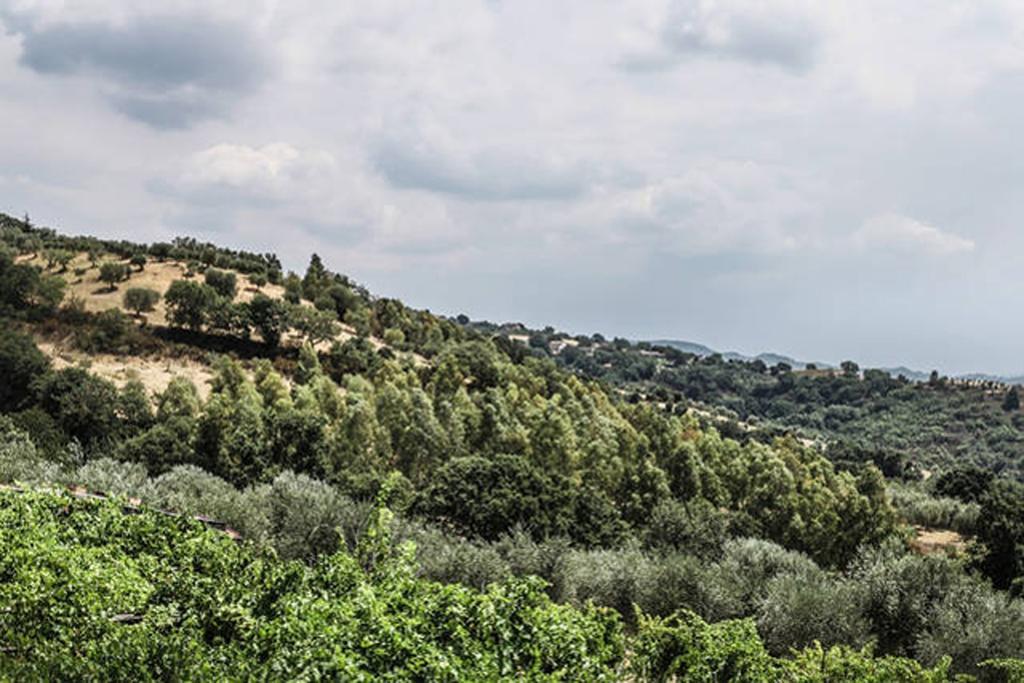 Agriturismo Miracco Atanasio Franco "Il Maniero" Santa Sofia d'Epiro Kültér fotó