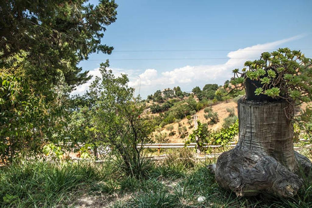Agriturismo Miracco Atanasio Franco "Il Maniero" Santa Sofia d'Epiro Kültér fotó