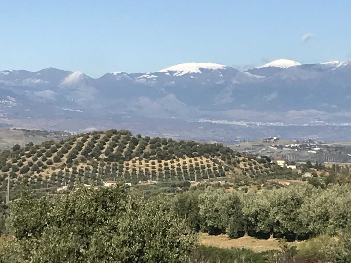 Agriturismo Miracco Atanasio Franco "Il Maniero" Santa Sofia d'Epiro Kültér fotó